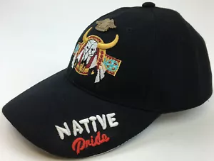 Southwest Native American Indian Longhorn Skull Native PrideCap Harley HOG Pin - Picture 1 of 9