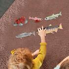 Life Cycle of Salmon Toys Montessori Toys for Games Party Presentations