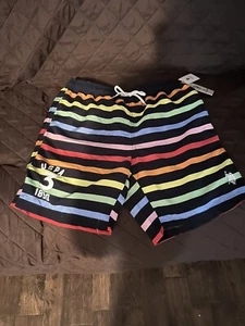 U.S. POLO ASSN. Men's swimming trunks size medium stripe multi colors - Picture 1 of 5