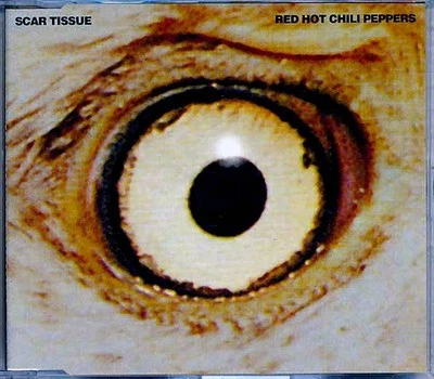 SEALED NEW CD Red Hot Chili Peppers - Scar Tissue - Imagem 1 de 2