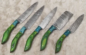 Set of 5Pcs of Handmade Damascus Steel Kitchen, Chef Set , Camping Knives# B-230 - Picture 1 of 9