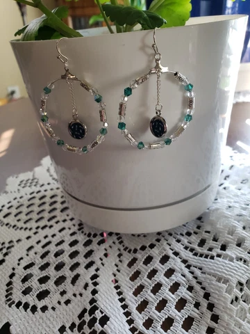 Philadelphia Eagles Earrings Cover