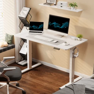 Flexispot Home Office Height Adjustable Standing Desk Computer Desk with Hooks - Picture 1 of 16