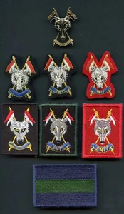 SNIY The Scottish and North Irish Yeomanry Set de insignias de tela y gorra de metal  - Imagen 1 de 6