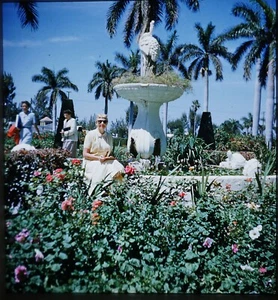 Attractive blonde lady in FL - 1960s Stereo Realist Slide RBT remounted #1071 - Bild 1 von 3