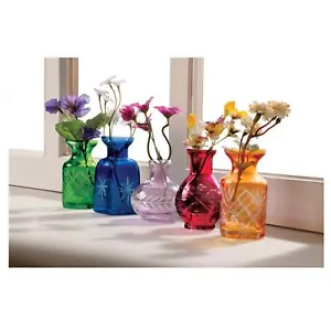 Set of 5 Mini Vases for Flowers - Five Piece Small Glass Bud Vases - Jeweltones - Picture 1 of 9