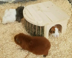 Meerschweinchenhaus Kleintierhaus mit Heuraufe Meerschweinchenhäuschen 80022 - Bild 1 von 4