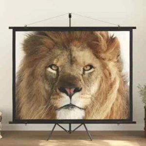 projection screen Home Theater Screen Pull-down Projector Screen 4:3 vidaXL - Picture 1 of 60