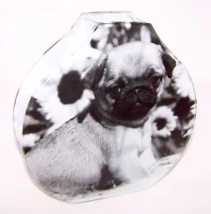 Glasvase Prinz Mops Glas Vase Hund Mops Deko Blumenvase Mario Moreno Neu OVP - Bild 1 von 4