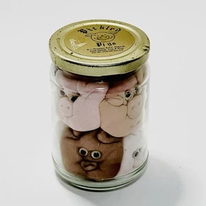 Pickled Pigs Novelty Jar With Plush Pig Toy Teddy’s Unusual Quirky Strange Odd - Picture 1 of 5