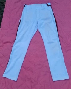 Pantaloni AJ Minter Game Worn Majestic Missippi Braves AA Atlanta Braves - Foto 1 di 18