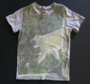 Tea Collection India Indian Langur Photo real short sleeve Tee shirt top 8 Y - Picture 1 of 2