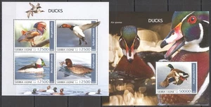 GS0715 2019 SIERRA LEONE DUCKS WATER SEA BIRDS FAUNA #11442-45+BL1783 MNH - Picture 1 of 1