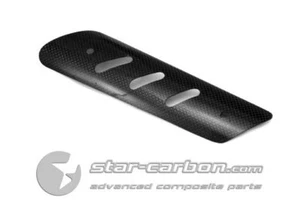 ESCUDO TÉRMICO DUCATI HYPERMOTARD 796 1100 FIBRA DE CARBONO PARA COLECCIONISTA ZARD - Imagen 1 de 3