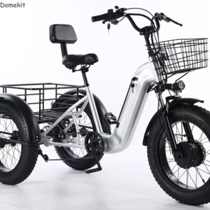 20" E-Trike 48V 500W Electric Cargo Tricycle 50km Range Utility Trike 35km/h - Picture 1 of 12