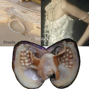 Large Natural Freshwater Cultured Pearl Oyster with 5-7mm 25 Pearls Vacuum Pack - Picture 1 of 12