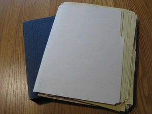 DEUTSCHES & THIRD REICH WORLDWIDE colección de sellos en páginas y en álbum! 83 fotos! - Imagen 1 de 24