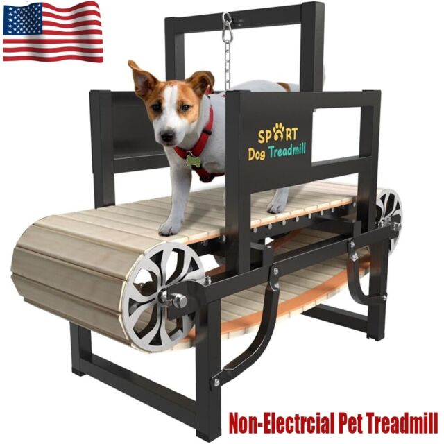 Wt-C402W Dog Training Equipment Pet Walking Machine Dog Treadmill