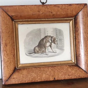 A Charming Antique Graphite And Watercolour Painting Of A Dog, c.1820-40. - Picture 1 of 5