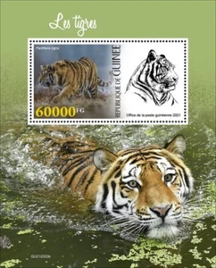 Guinea - Tigres 2021 en estampillas - Hoja de recuerdo de estampillas - GU210320b - Imagen 1 de 1