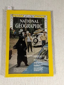 Vintage National Geographic May 1972 Yellowstone's Hundredth Birthday Bear - Picture 1 of 7