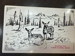 1955 Coeur D'Alene, Idaho Greetings  Art By Rayne Postcard Deer &Mountains - Picture 1 of 2