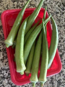 25+  Long Pod Okra Seeds -- Heirloom - NON GMO --- FRESH - Picture 1 of 5
