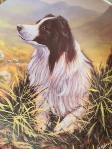 Lovely Danbury Mint Royal Worcester Border Collie Plate HIGHLAND SCOUT - Picture 1 of 4