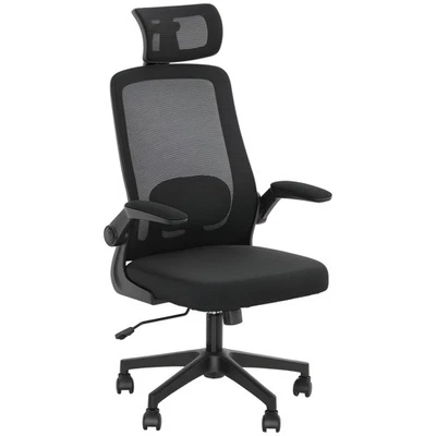 HOMCOM Silla de Oficina Ergonómica, Silla de Escritorio de Malla con Soporte Lumbar, Negra Foto 1 de 4