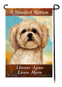 A Spoiled Rotten Cream Lhasa Apso Lives Here - Bild 1 von 1