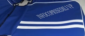 LANCIA APPIA 3°S COPRISEDILI COMPLETI "Linea Personalizzata" BIANCO e AZZURRO - Picture 1 of 14