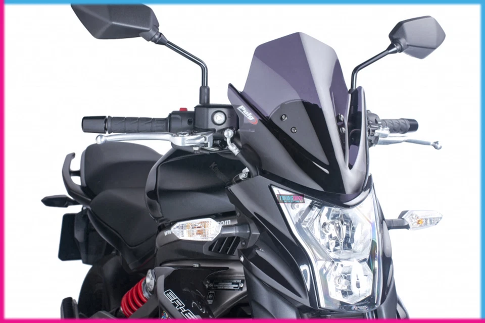 PANTALLA DE CERDO DESNUDA N.G. Sport Kawasaki Er-6N 2015 Dark Smoke Foto 1 de 1