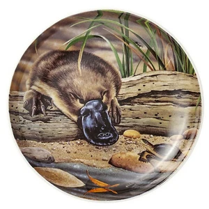 Australian Souvenir Ashdene Fauna of Australia Platypus & Turtle Trinket Dish - Picture 1 of 6