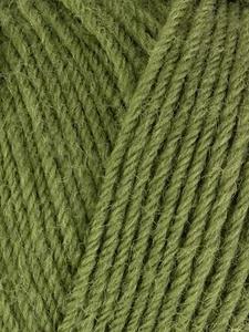 Hilo De Lana Colourlab DK De West Yorkshire Spinners - 1207 Verde Musgo - Imagen 1 de 1