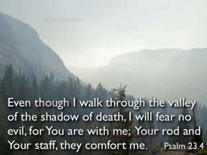 CHRISTIAN RELIGIOUS INSPIRATIONAL PSALMS 23:4 THRU THE VALLEY PUBLICITY PHOTO - Picture 1 of 1