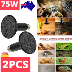 2x 75w Ceramic Lamp Amphibian Bird Light Heat Reptile Bulb Snake Chicken Brooder - Picture 1 of 12