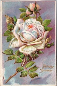 Vintage 1910er GEBURTSTAGSGRÜSSE geprägte Postkarte weiße Rose "Made in Germany" - Bild 1 von 2