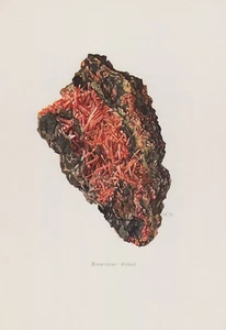 Rotbleierz Krokoit Farbdruck 1967 Mineralien Gesteine C. Caspari - Picture 1 of 1