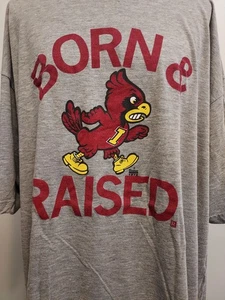 Iowa State Cyclones Born and Raised Shirt Kurzarm Grau 3XL Tultex - Bild 1 von 15