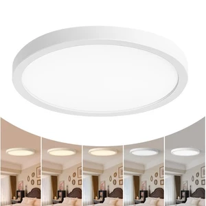 12 Inch LED Flush Mount Ceiling Light Fixture, 24W 5 CCT (2700K-5000K) Select... - Foto 1 di 8
