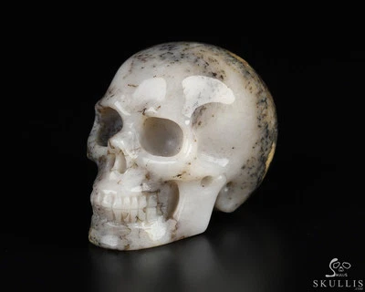 Calavera de cristal tallada a mano de ágata sagenítica de 2,0", realista, cristal curativo Foto 1 de 4