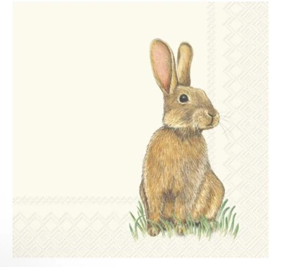 Servilletas para bebidas de cóctel Eddie conejo de Pascua 20 quilates fiesta de primavera Foto 1 de 2