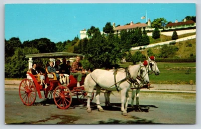 Postcard, The Carriage with the Fringe on Top, Mackinac Island, MI, Unposted - Image 1 of 2
