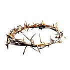 6" Crown of Thorns NEW Great for Lent Christian Faith Jesus Made in Israel
