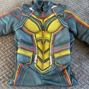 Marvel Ant-Man and The Wasp Kostüm Rubies Kinder Halloween Cosplay - Bild 1 von 7