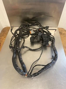 2004 Harley Davidson E/G U/C FLHTCUI Main Wire Harness - Picture 1 of 9