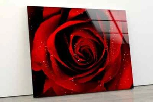 Red Flower Closeup Photograph Acrylic Glass Print Tempered Glass Wall - Picture 1 of 5