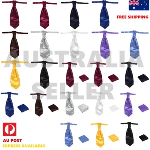 Men's Pre-tied Ascot Set Satin Cravat Hanky Wedding Ascot Dan Smith CAQN-O01 - Picture 1 of 42
