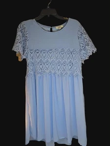 Hayden Dress Womens Size LARGE BLUE LACE Knit Pleated Hem Tunic NEW - Picture 1 of 11