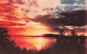 Sunset in Alaska Vintage PC Chrome - Picture 1 of 2